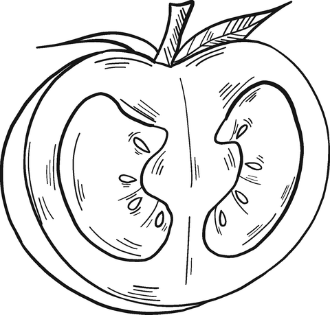 Half Tomato Coloring Page